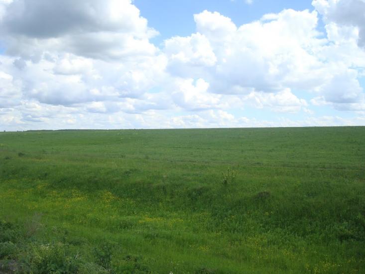 Ясенівка з panoramio.com - Ясенівка