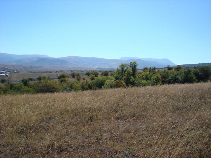 Піонерське з panoramio.com - Пионерское