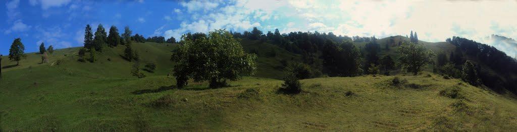 Розтоки з panoramio.com - Розтоки