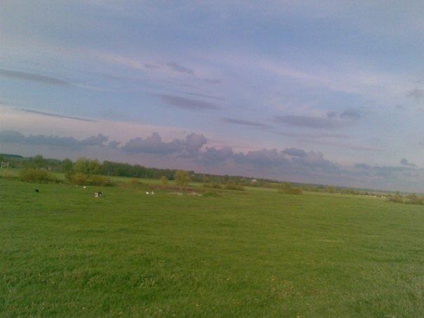 Сорока з panoramio.com - Сорока