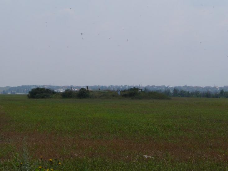 Нова Долина з panoramio.com - Nova Dolyna