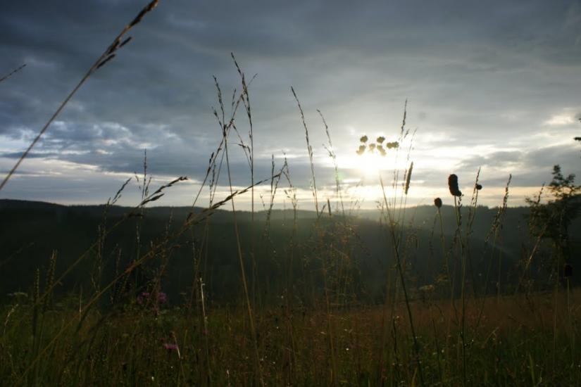 Вишків з panoramio.com - Вышков