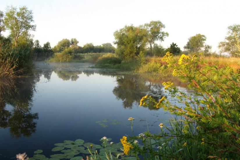 Наталине з panoramio.com - Наталино