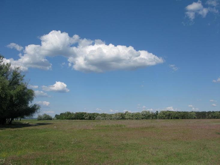 Малокаховка з panoramio.com - Малокаховка