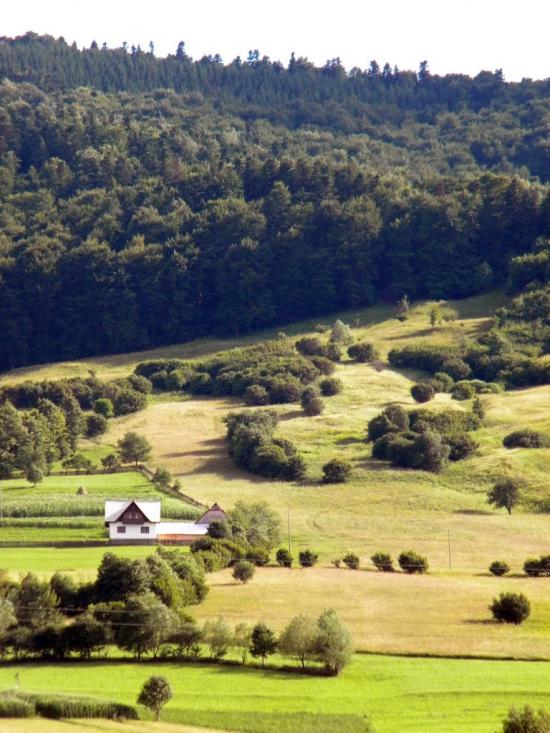 Аршиця з panoramio.com - Аршица