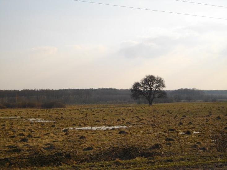 Озеро з panoramio.com - Озеро
