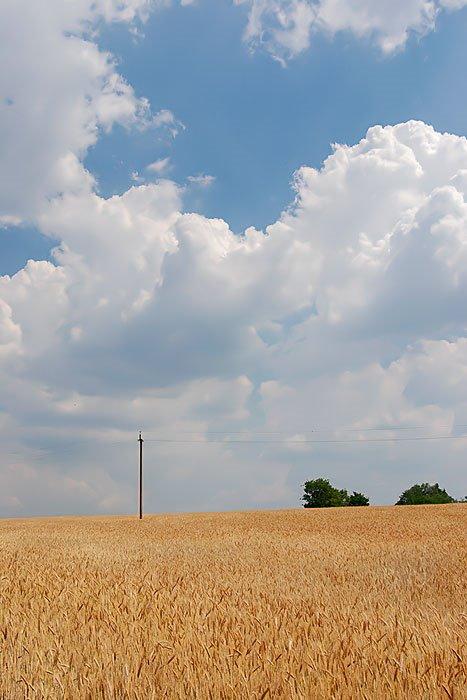 Любимівка з panoramio.com - Lyubymivka