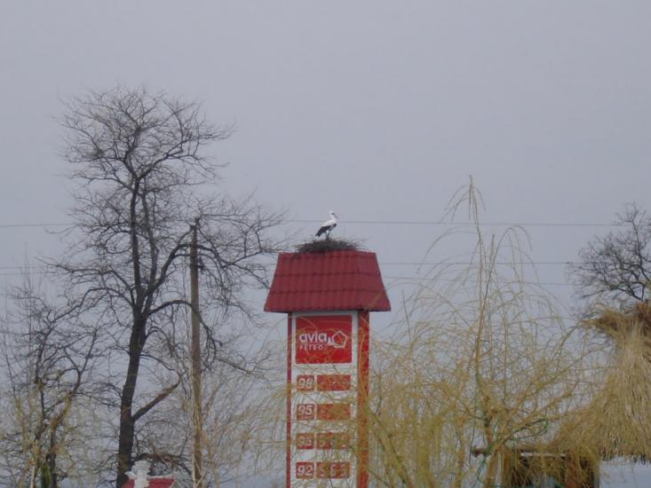 Ялта з panoramio.com - Yalta