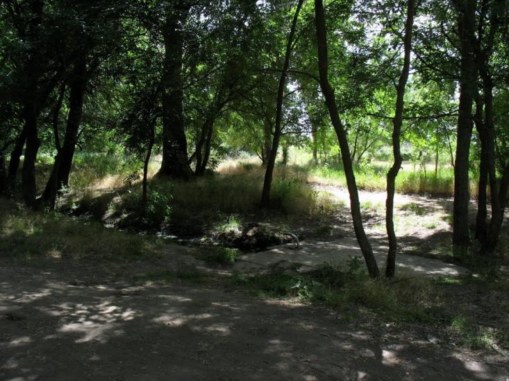 Хорли з panoramio.com - Хорлы