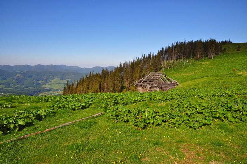 Кривопілля з panoramio.com - Kryvopillya