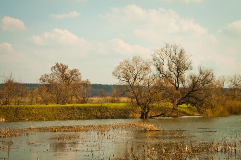 Новомлинськ з panoramio.com - Новомлинск
