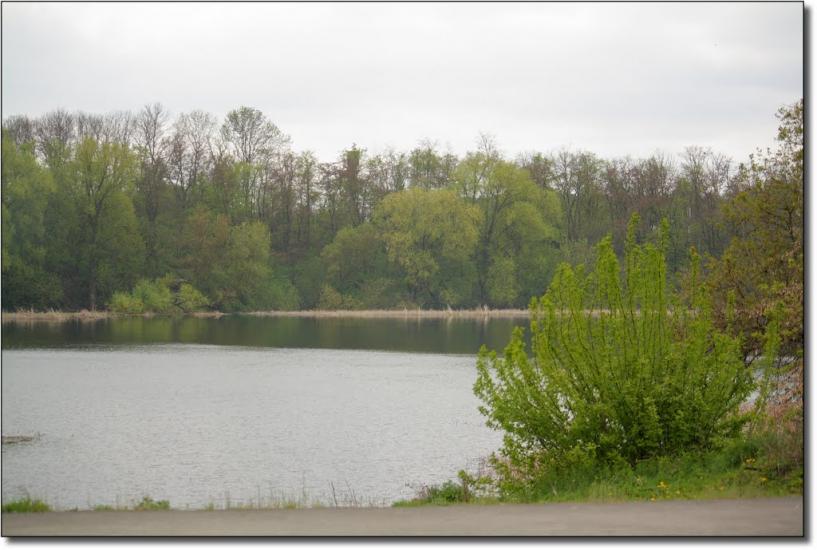 Жовтневе з panoramio.com - Квітневе