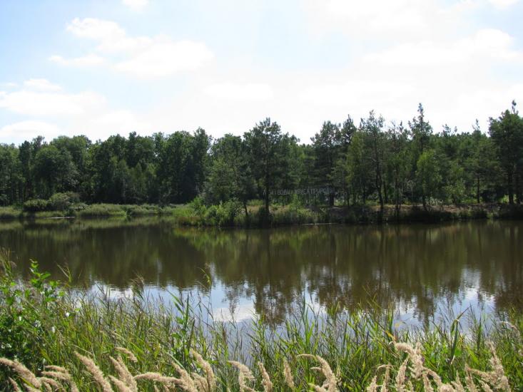 Михайленки з panoramio.com - Михайленки