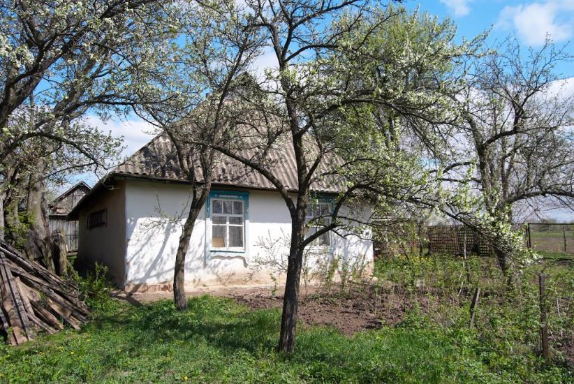 Півні з panoramio.com - Півні