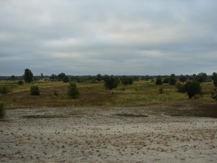 Неданчичі з panoramio.com - Nedanchychi