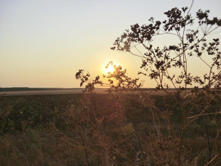 Ладижинка з panoramio.com - Ладыжинка