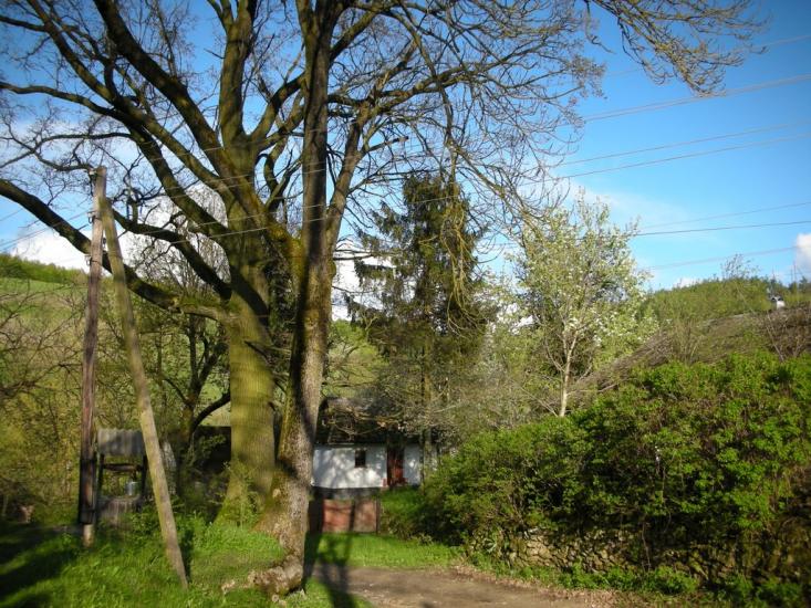 Сприсівка з panoramio.com - Сприсівка