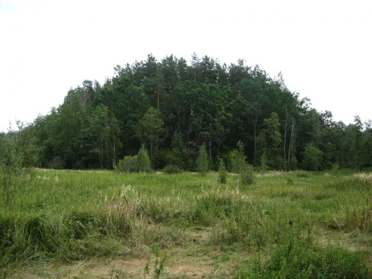 Пиротчине з panoramio.com - Пиротчине