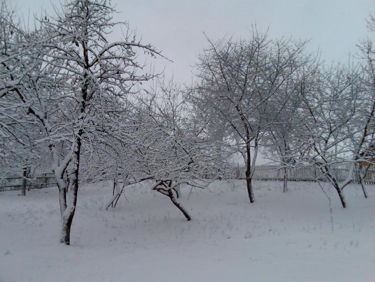 Комсомольське з panoramio.com - Комсомольське