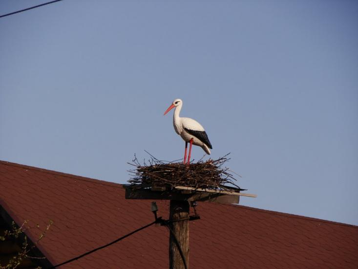 Ювілейне з panoramio.com - Yuvileyne