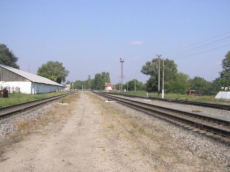 Павлиш з panoramio.com - Павлиш