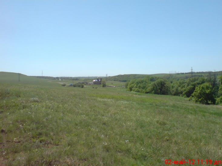 Павлівка з panoramio.com - Павлівка