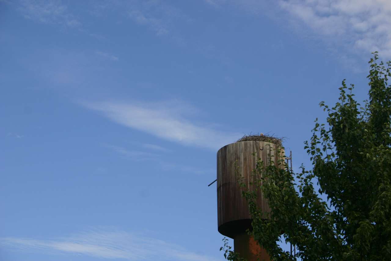 Христанівка - Христанівка