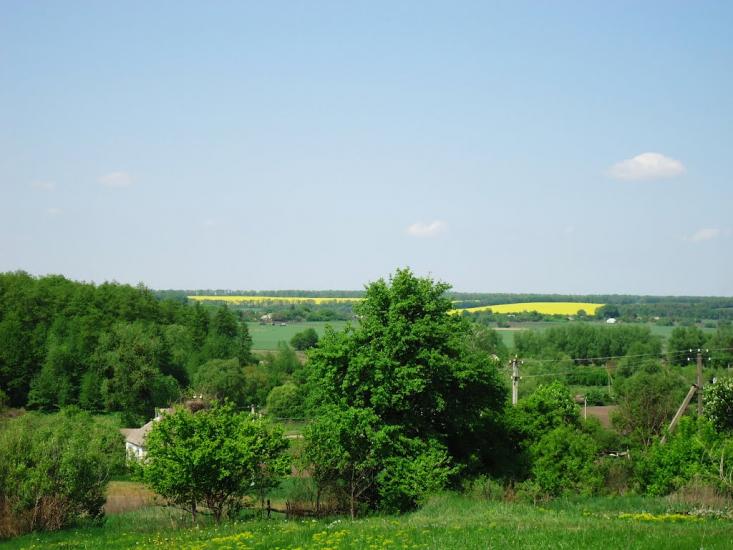 Дрозди з panoramio.com - Дрозды