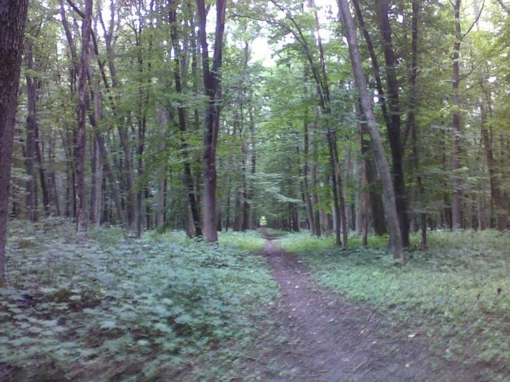 Сатанівка з panoramio.com - Сатановка