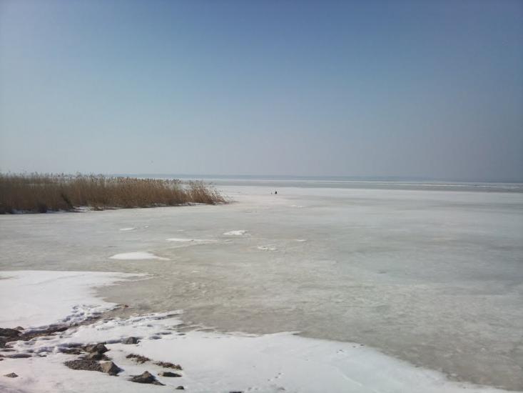 Нова Некрасівка з panoramio.com - Nova Nekrasivka