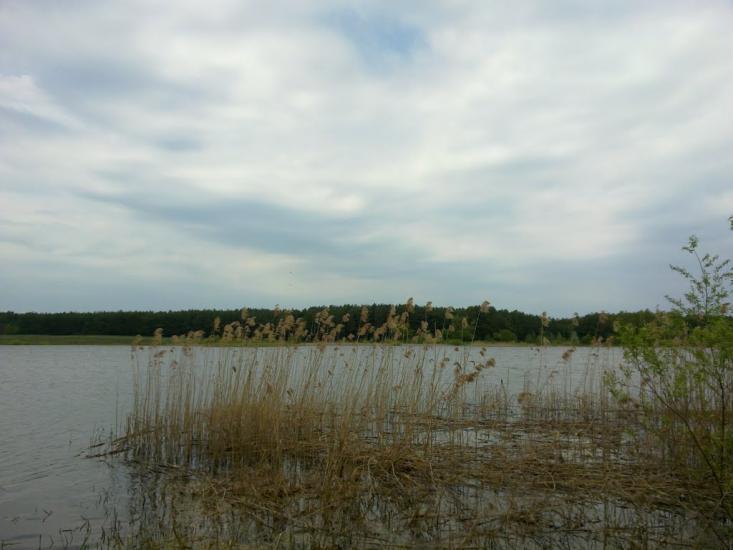 Линея з panoramio.com - Lyneya