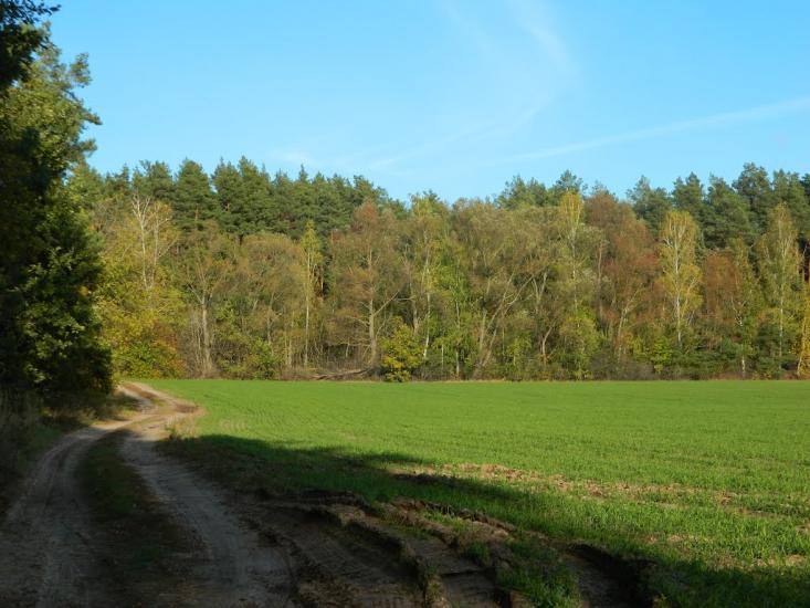 Бурімка з panoramio.com - Burimka