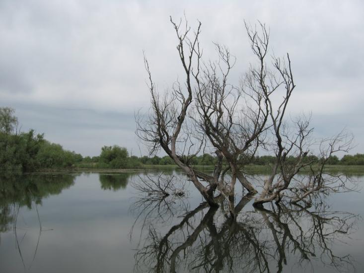 Дунайське з panoramio.com (ч.2) - Дунайське