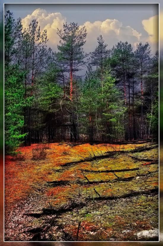 Зачепилівка з panoramio.com - Зачепиловка