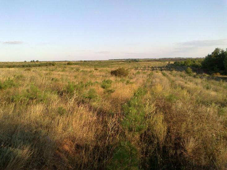 Красний Партизан з panoramio.com - Красный Партизан