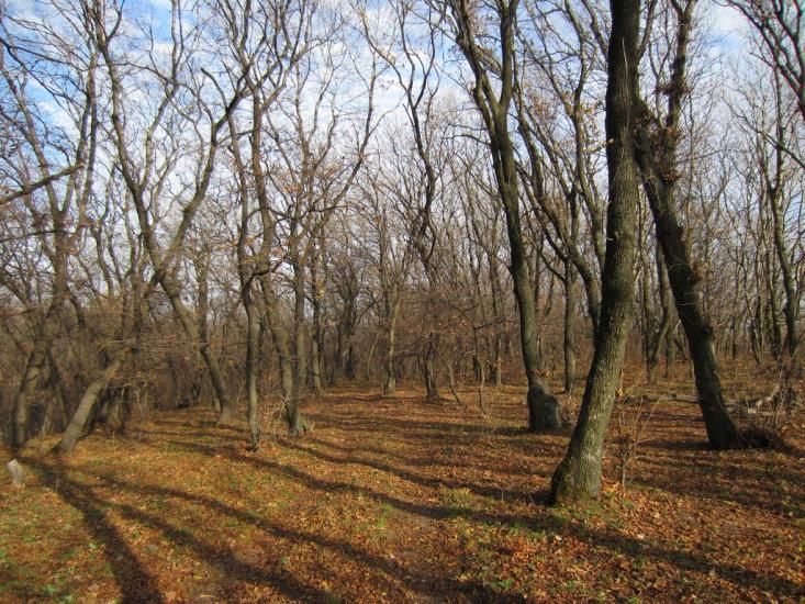 Харцизьк з panoramio.com - Харцызск
