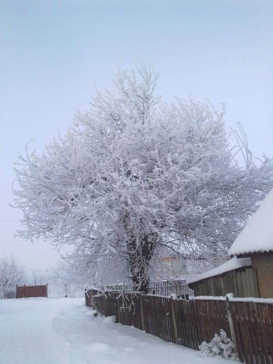 Піски з panoramio.com - Піски