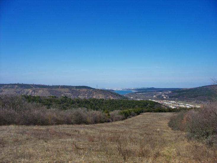 Піонерське з panoramio.com - Пионерское