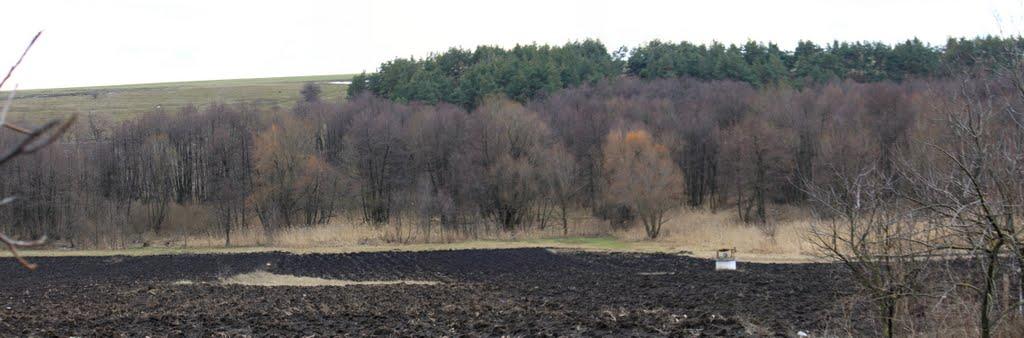 Осіївка з panoramio.com - Осіївка