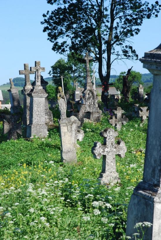 Сасів з panoramio.com - Сасов