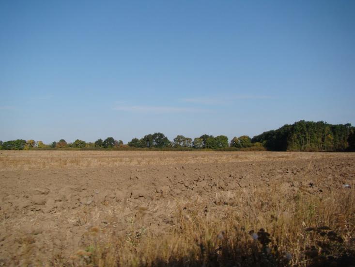 Бандурове з panoramio.com - Бандурове