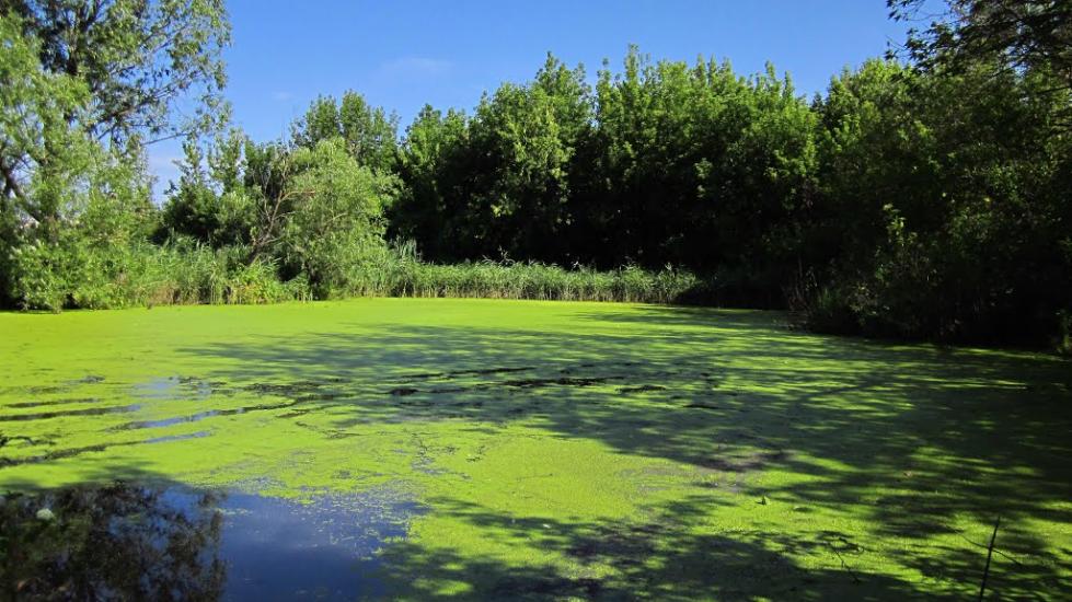 Сиваш з panoramio.com - Сиваш