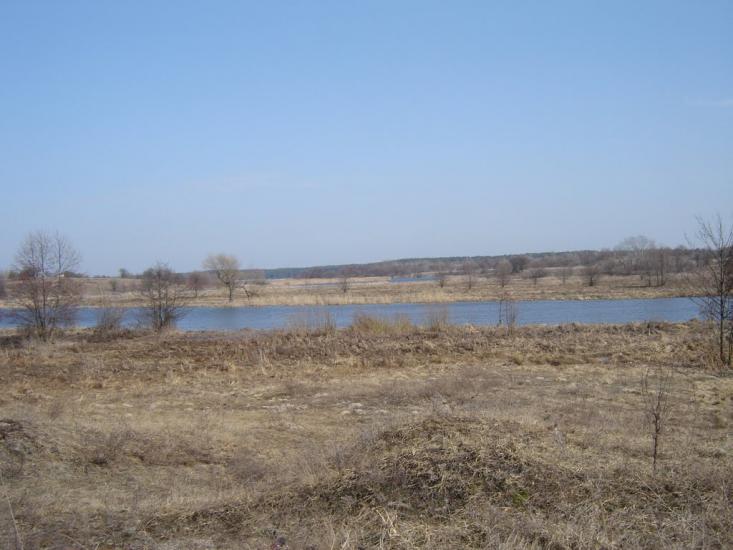 Перлявка з panoramio.com - Перлявка