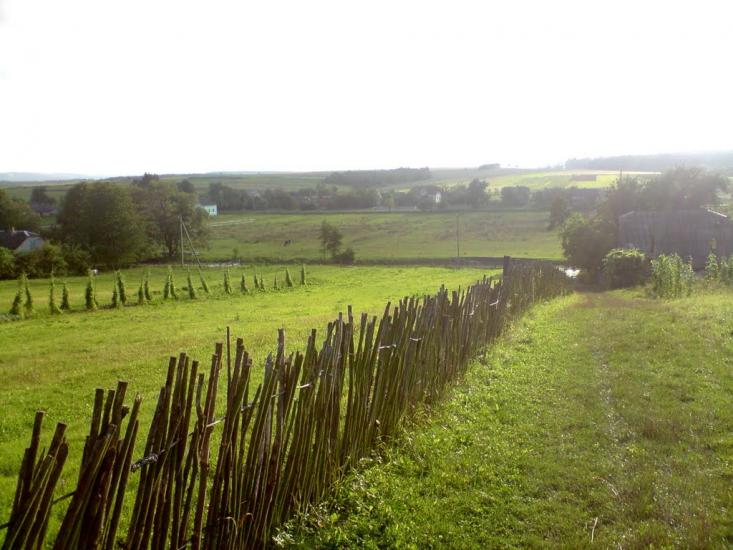 Конів з panoramio.com - Конів