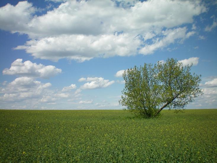 Малодолинське з panoramio.com - Малодолинське