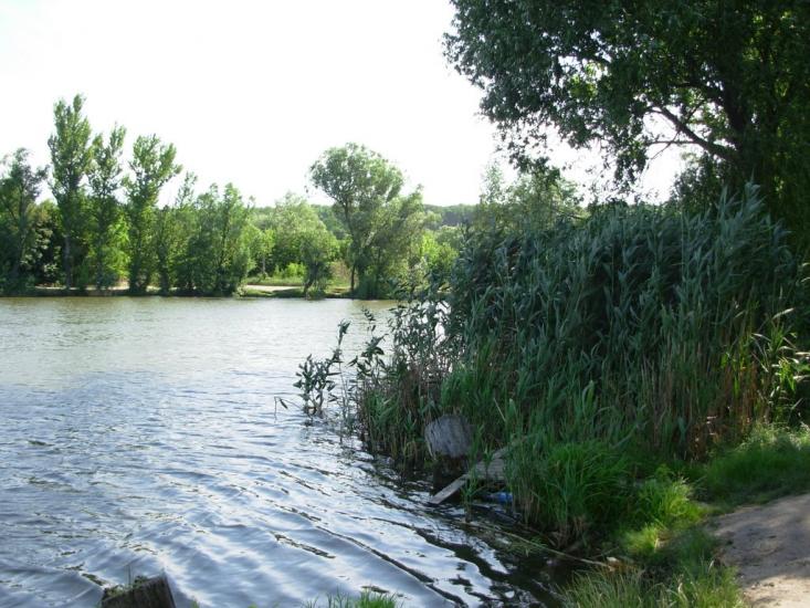 Високий з panoramio.com - Высокий