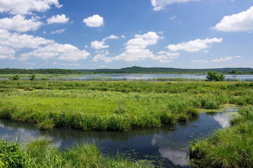 Івано-Франкове з panoramio.com - Ivano-Frankove