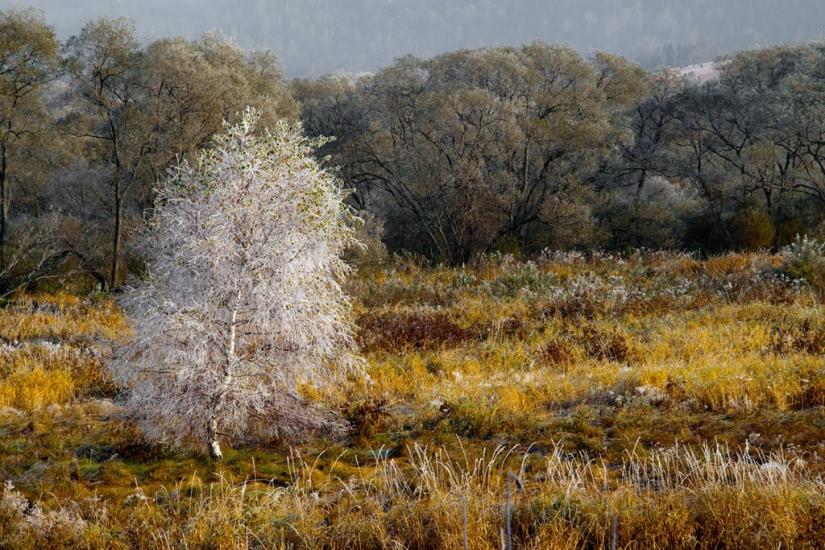 Шандровець з panoramio.com - Шандровец