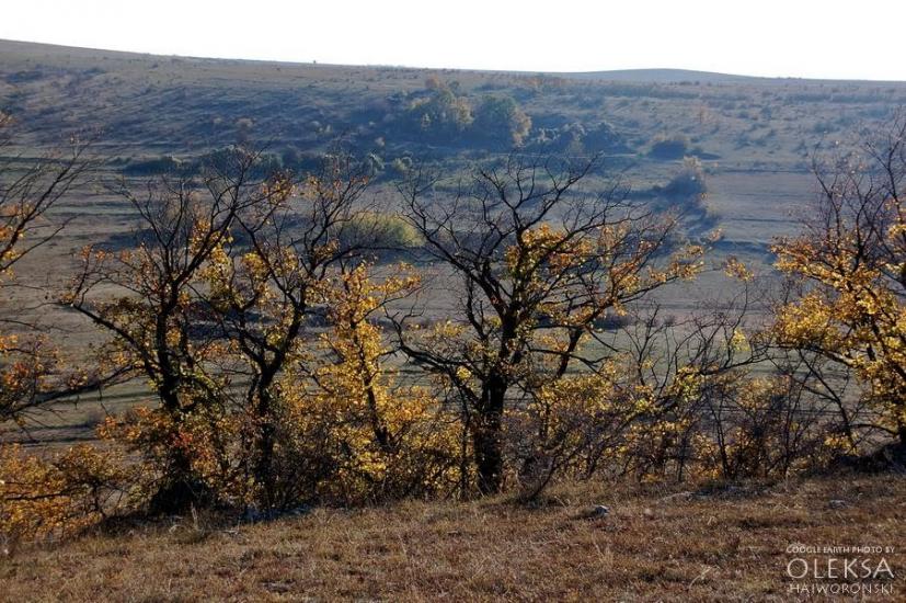 Рєпіне з panoramio.com - Рєпіне