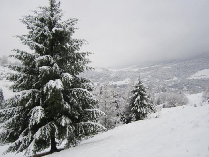 Ставне з panoramio.com - Ставное